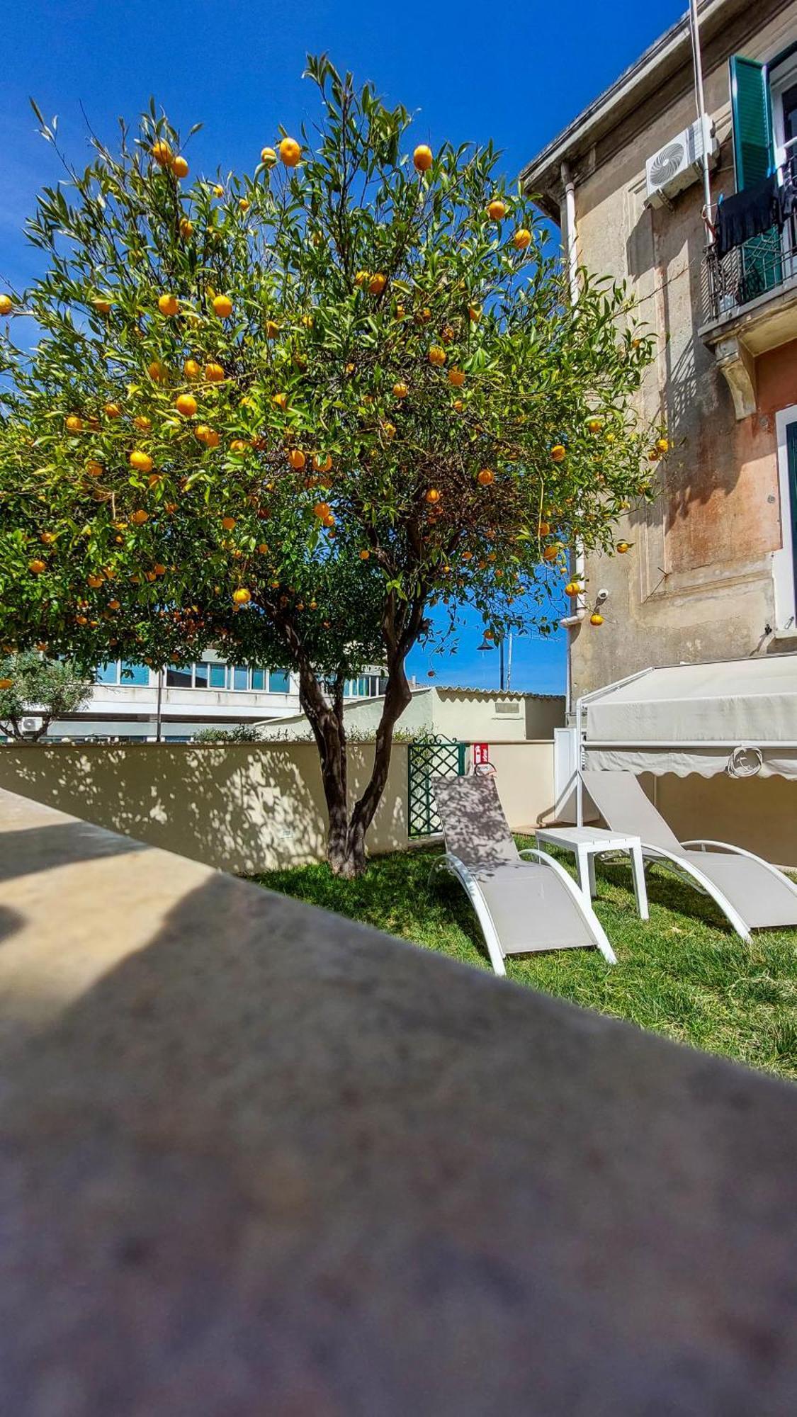 Malu Best Rooms - Tropea Eksteriør bilde